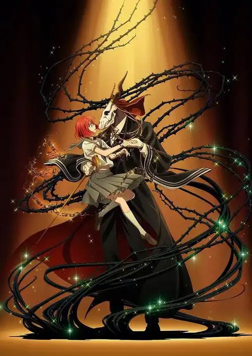 魔法使的新娘没人看过吗63冷门佳作啊7573