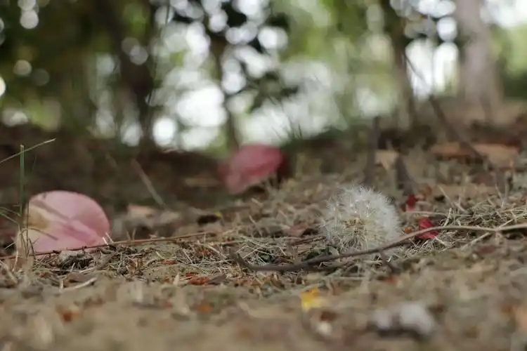 第一次作业景深作用