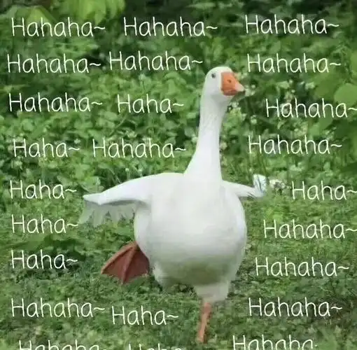 想用这只鹅做头像大家有系列原图吗