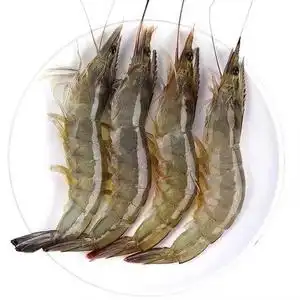 鲜活速冻淡水养殖对虾南美白对虾厄瓜多尔白虾顺丰4斤