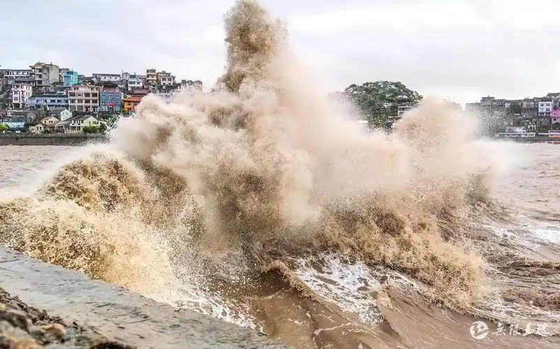 玉环启动防台风Ⅱ级应急响应