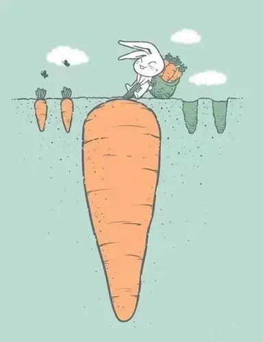 求这种有寓意的图片 最多是个网站有很多