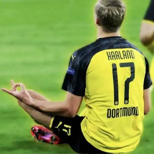 哈兰德:冥想是一件很庄重的事,可以帮助我们管理情绪