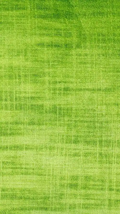 绿色护眼纯色背景