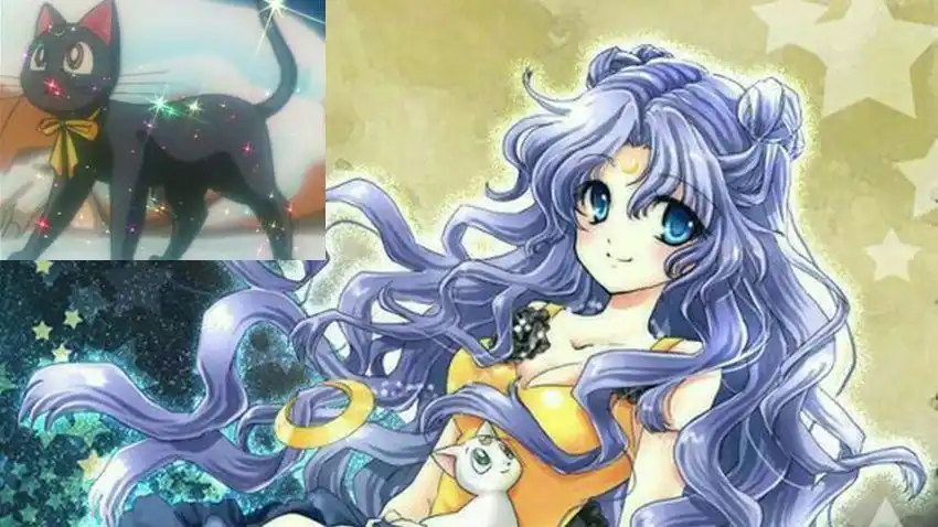 《美少女战士》中最美丽的变身之一黑猫露娜的华丽变身,非常好看