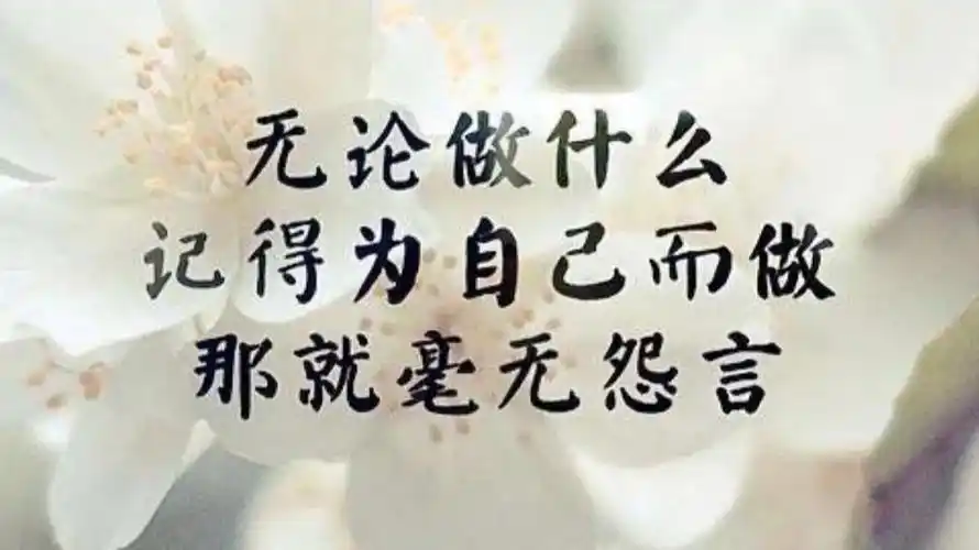 励志句子,送给迷茫的你,送给正在努力奋斗的人