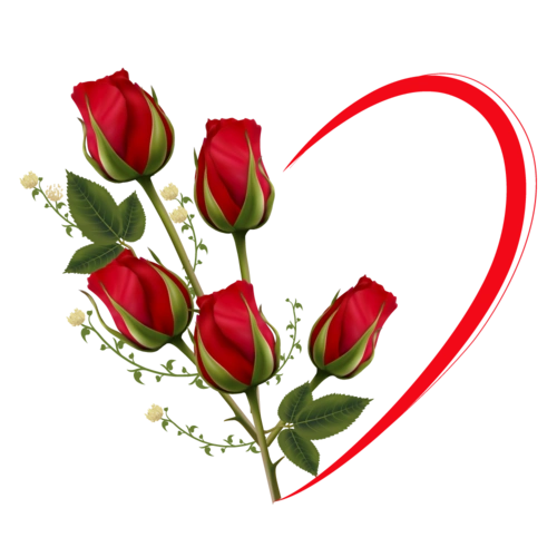 玫瑰花爱心图片大全