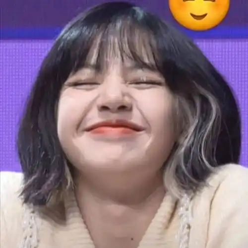 每日精选沙雕表情包