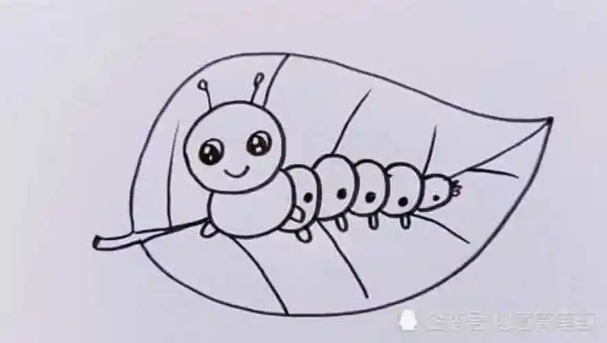 可爱的小虫子简笔画