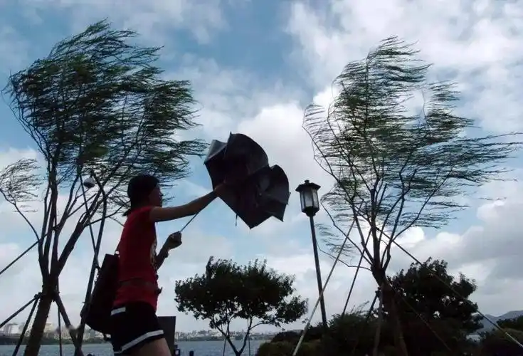防灾减灾狂风呼啸这些地方要注意