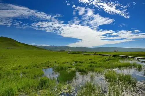 2020年7月6日至9日一行五人自驾赴甘川大草原途经若尔盖拍摄了美丽的