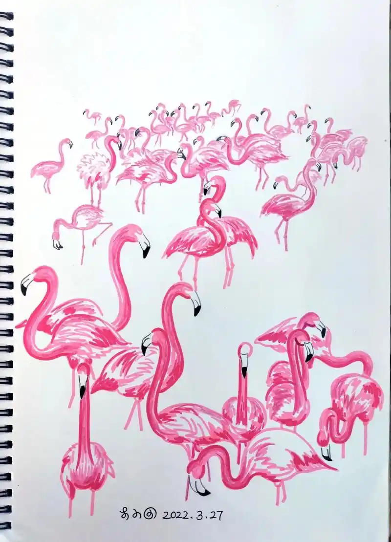 火烈鸟绘画.#一起学画画 #手绘 #画画 #插画 #火烈鸟 - 抖音