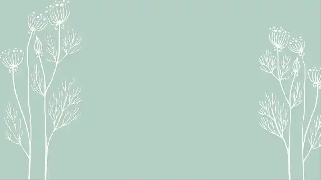 三张淡雅唯美手绘卡通ppt背景图片