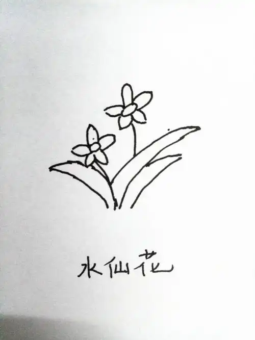 简笔画简单初学者 零基础学简笔画