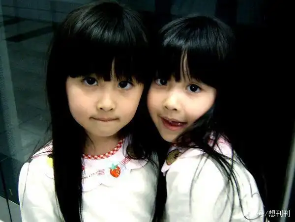 被误会一辈子!娱乐圈完美复制面孔双胞胎,像到以为是同一个人!