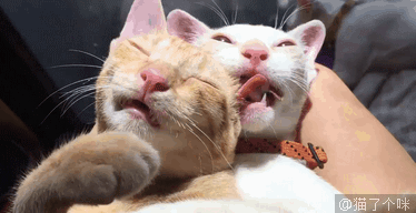 374_192gif 动态图 动图