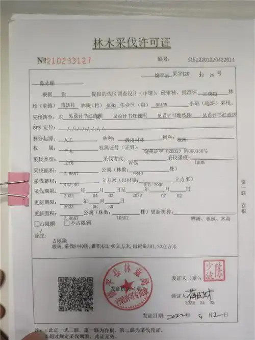 广东省林木采伐许可证20220411