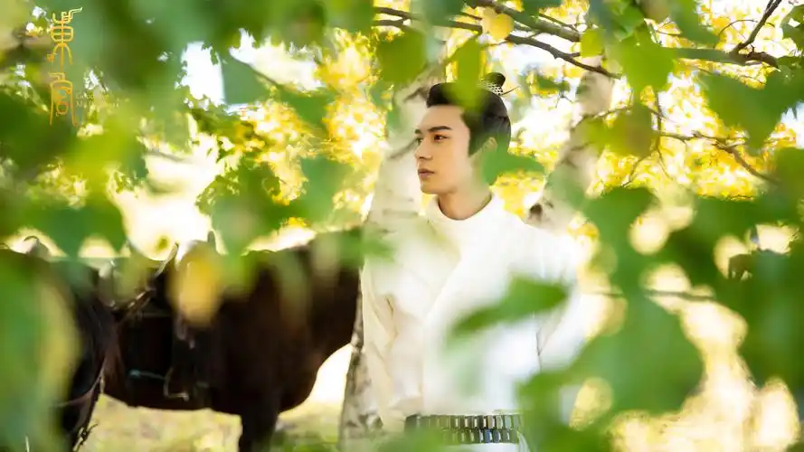 古装剧《东宫》人物剧照,高清图片-壁纸族