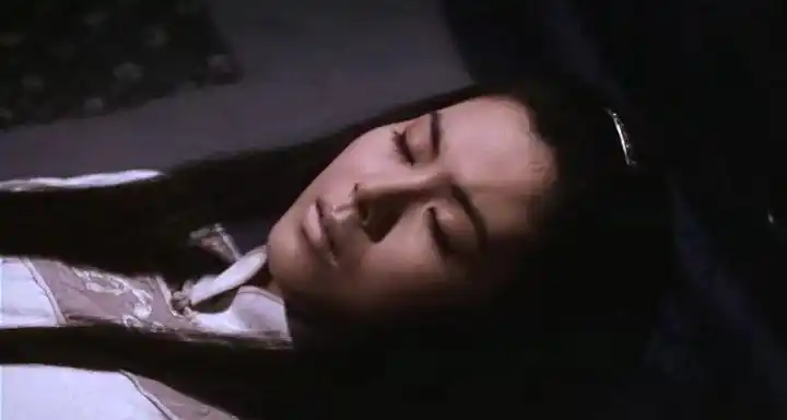 王文君 - 百度百科