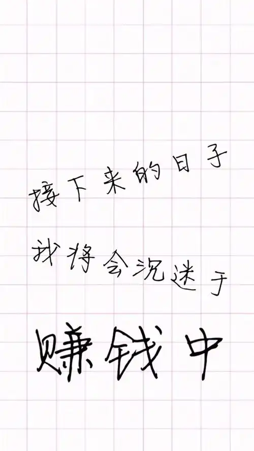 接下来的日子, 我将沉迷于赚钱