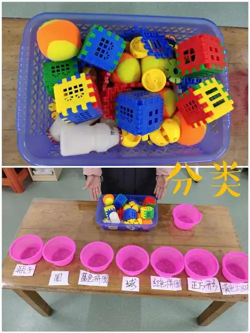 博学幼儿园小班-《分类》教学活动