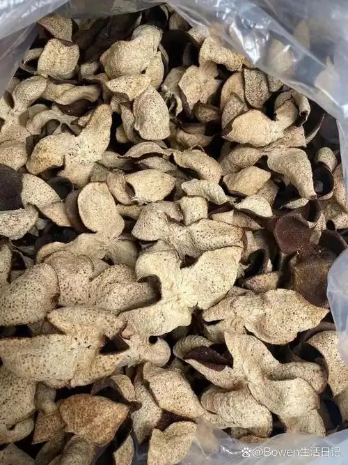 燥咳用中药陈皮6克,桑白皮10克.