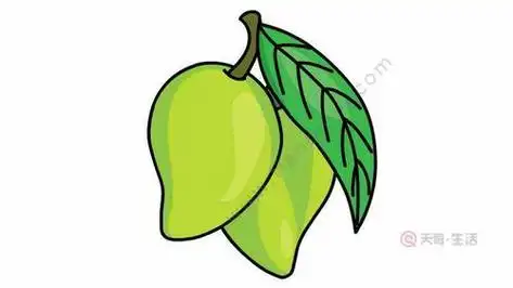 水果简笔画热带芒果