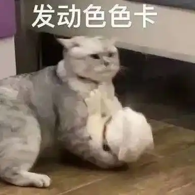 污污的表情包:脑子里净装这个了!