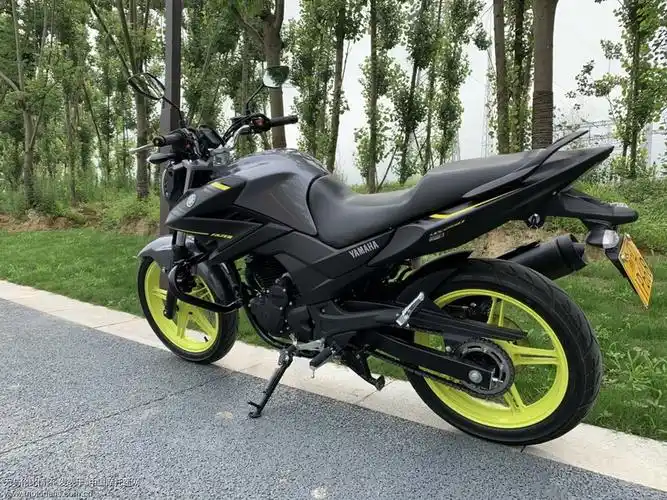 69 摩托整车厂家专区 69 济南铃木-骑式车 69 极客飒155街车版