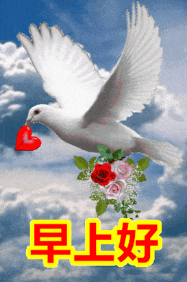 微信上,每天给朋友发早上好的人,几乎都是年过六十岁的退休老人.