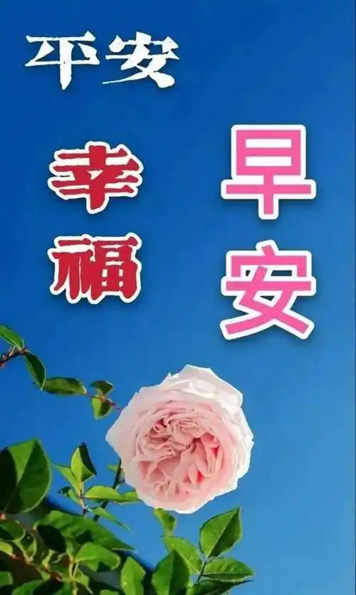 今日最新漂亮早上好祝福图片带字温馨,冬日早安问候短语句子!