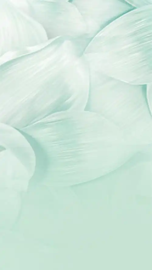 关键词 : 大方,简约,纹理,质感,花纹,文艺,h5,背景,安静