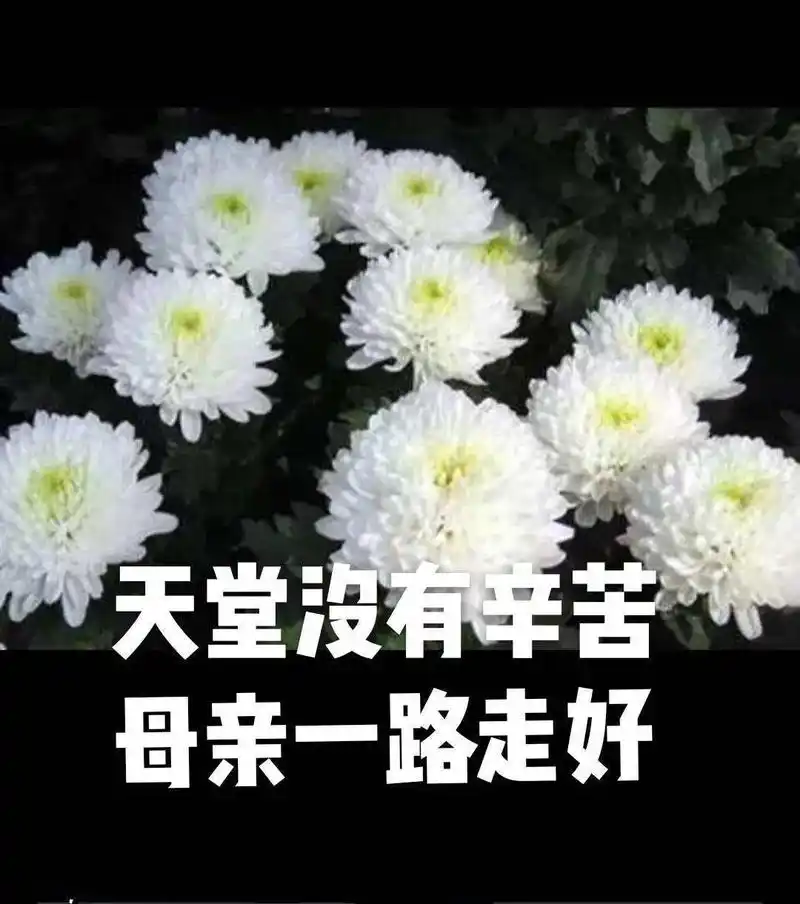 也没有妈妈了,世上最疼我的那个人永远离开我了,再也听不到母亲的声音