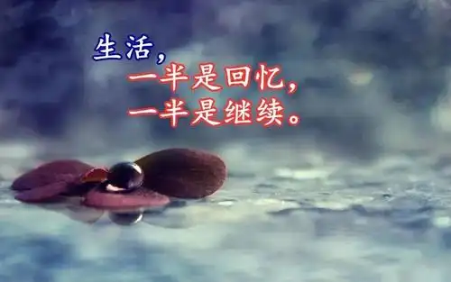 亲情伤感感悟人生的经典句子 具有人生感悟意义的优秀句子有哪些