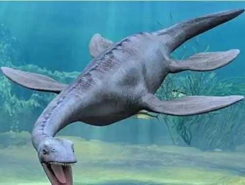 水中最强的恐龙排行榜沧龙水中霸主无敌