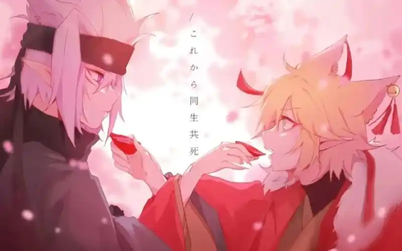 凹凸世界格瑞x金