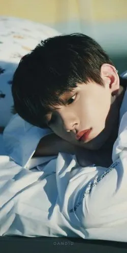 seventeen洪知秀篇