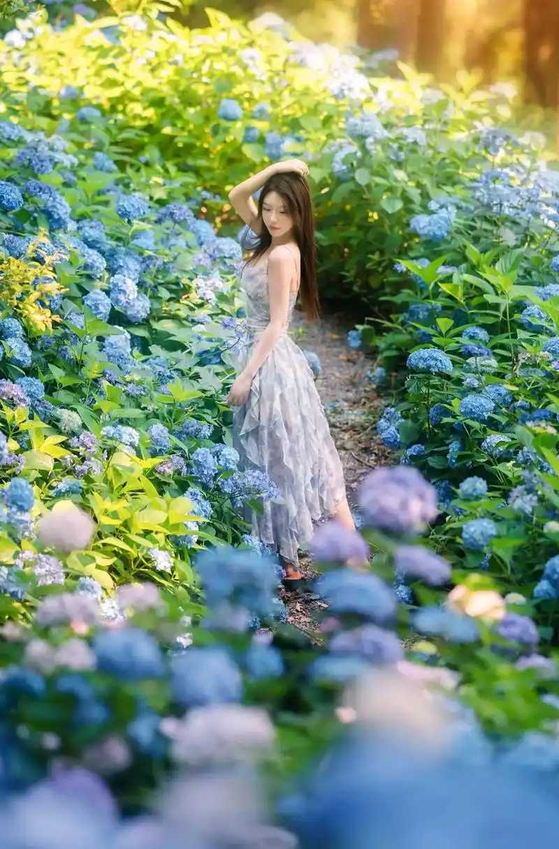 夏日绣球花海少女写真!无 - 抖音