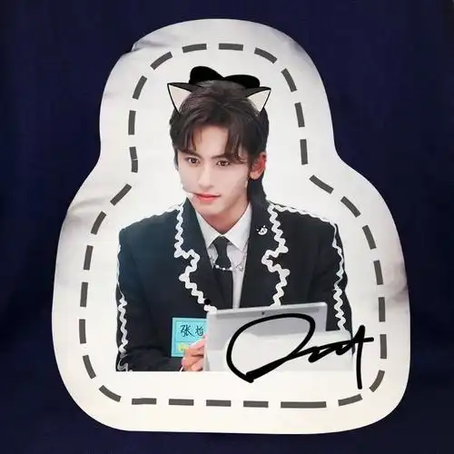 张哲瀚 龚俊 签名抱枕 -票务姐姐【滴滴】招dl