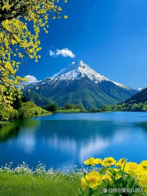 做手机背景墙的图片壁纸屏保背景收藏吧,要不就找不到了.