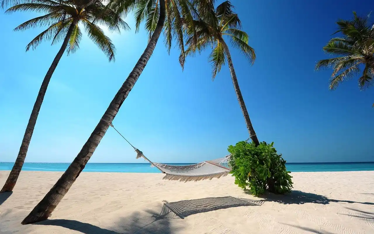 精选清凉夏季小清新唯美意境桌面壁纸第二辑