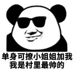 单身可撩小姐姐加我我是村里最帅的(熊猫头撩妹表情包)