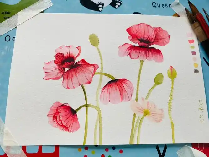 水彩临摹虞美人