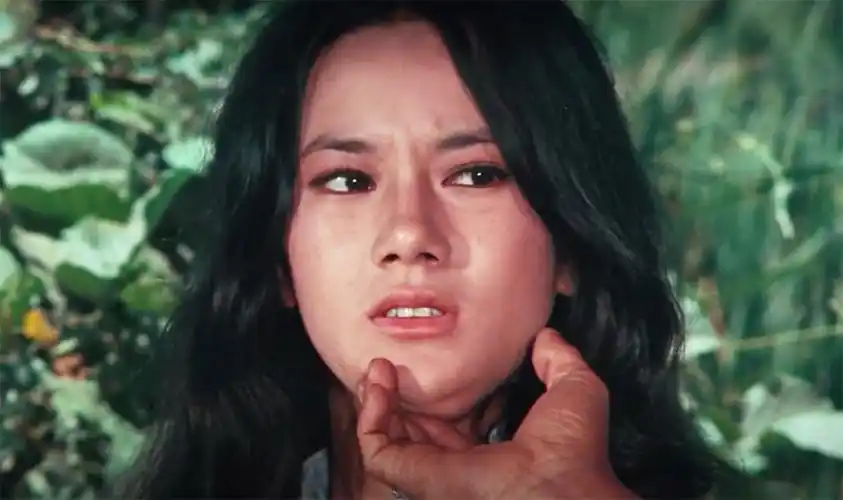 原创李小龙"银幕情侣"苗可秀出镜,67岁气质犹在,高清镜头下不显老