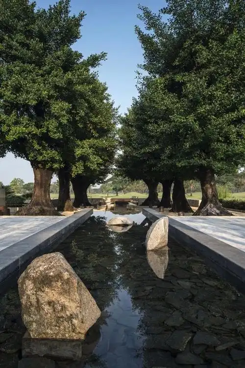 森林里的极简主义 | 景观建筑·3款