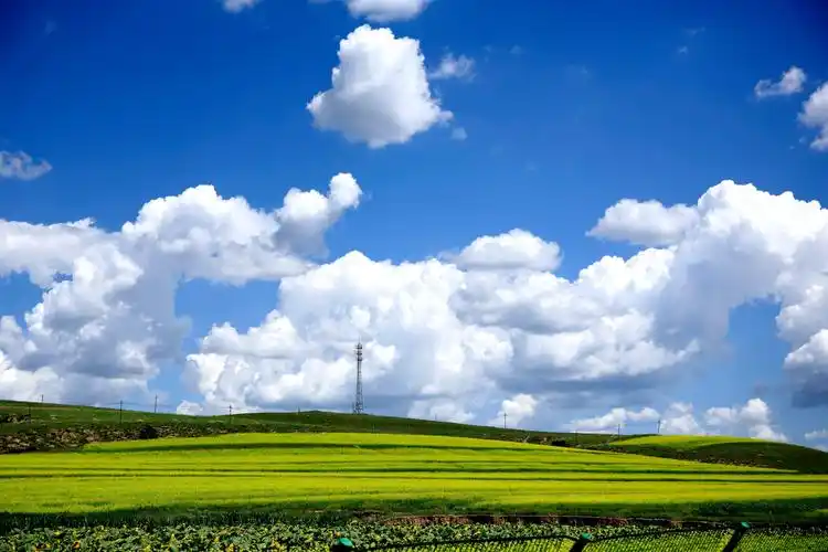 走进中国最美的草原之路