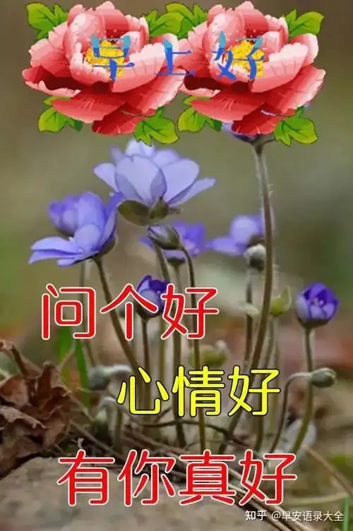 3,早上好,我亲爱的朋友!一年之计在于晨,一句早安表真心.