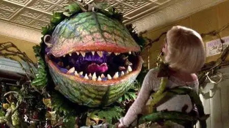 食人花举世皆知,那么大自然之中有食人树的存在吗?