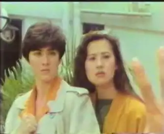 龙凤贼捉贼longfengzeizhuozei(1990)