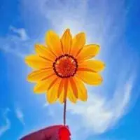 微信头像阳光稳重积极向上的【点击鼠标右键下载】